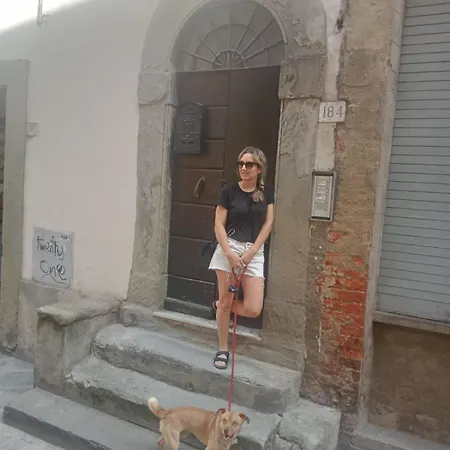 La Stanza Dei Citti-martino Apartment Arezzo
